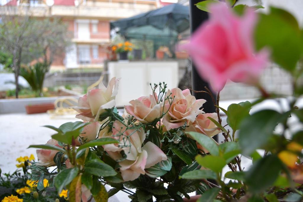 Zahrada ubytování Il Girasole Formia Guesthouse rooms