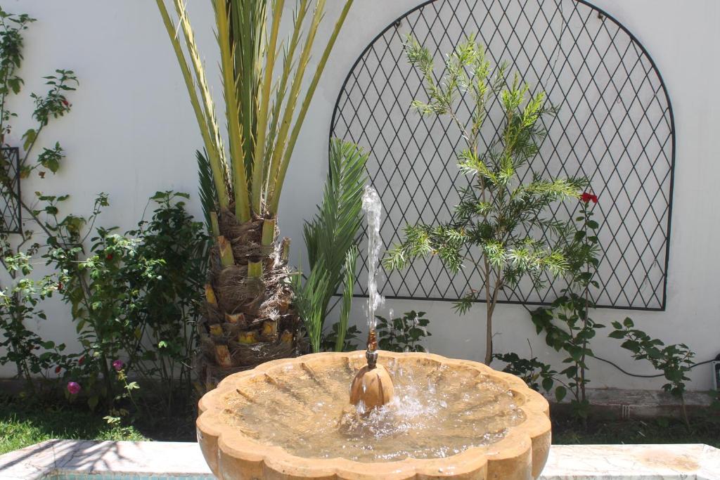 a water fountain in a garden with plants at Malabata Guest House in Tangier