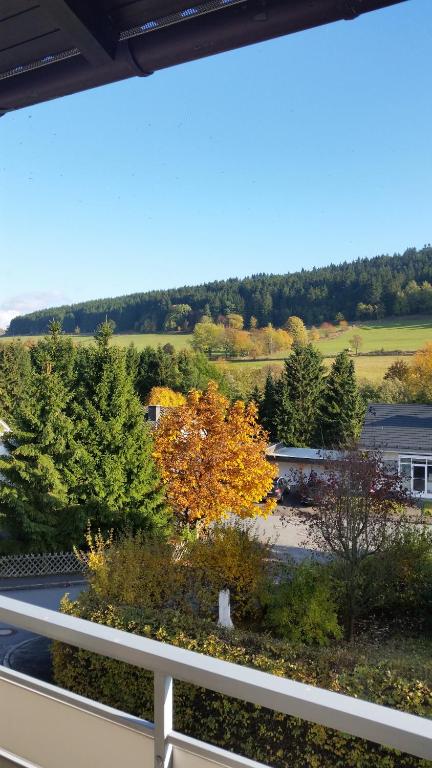 a view from the balcony of a house with a tree at Fewos 4-Jahreszeiten in Willingen