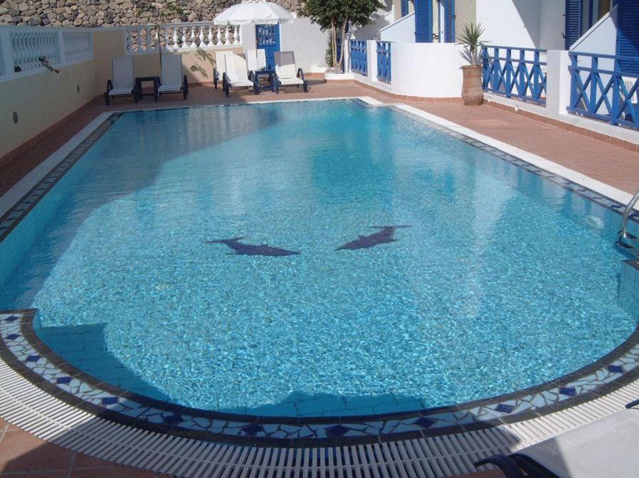 two sharks swimming in a pool of blue water at Karidis Hotel in Kamari