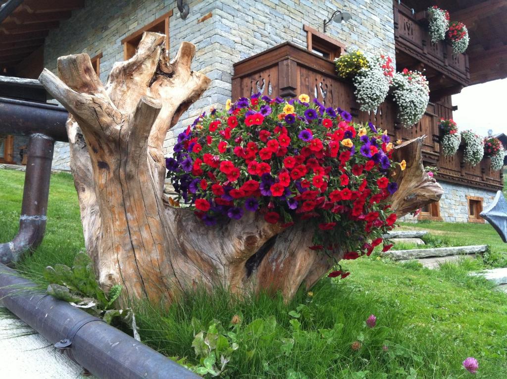 Zahrada ubytování Residence Lo Peyo