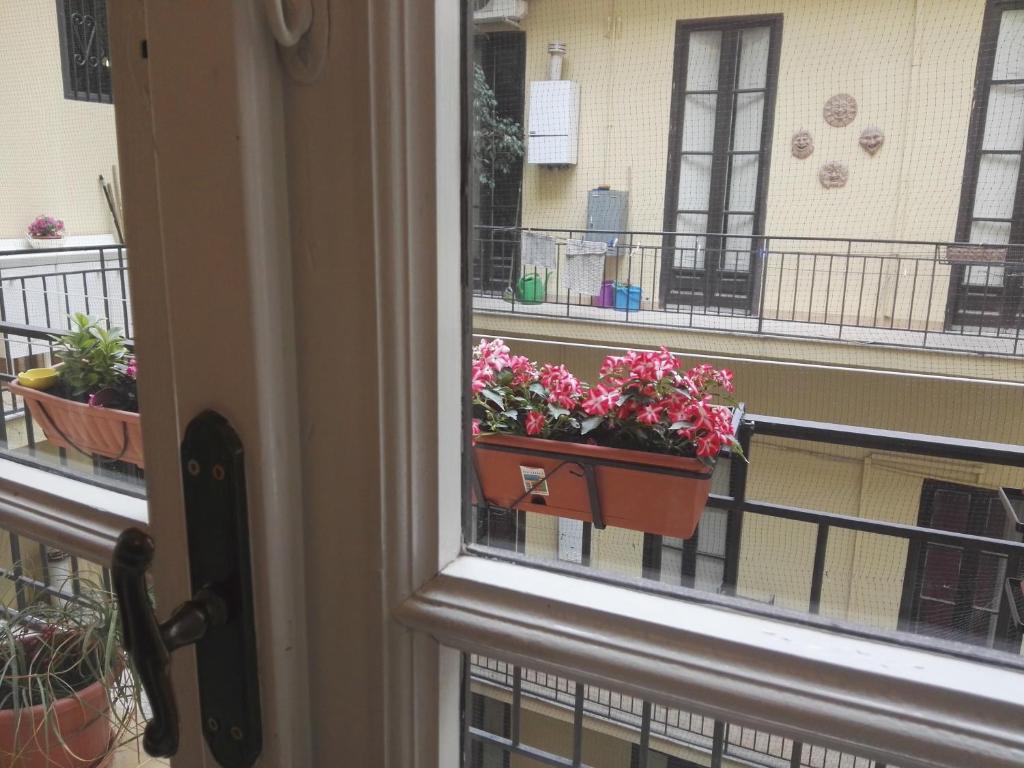 Balkón nebo terasa v ubytování Domus Cicerone