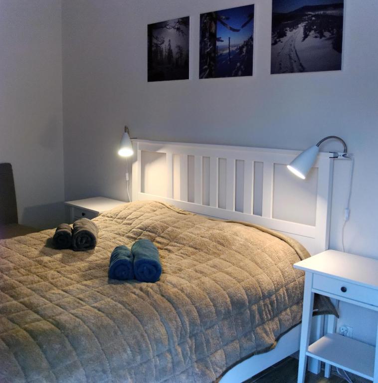 Fotografia z galérie ubytovania Apartamenty Zdrojowe v destinácii Ustroň