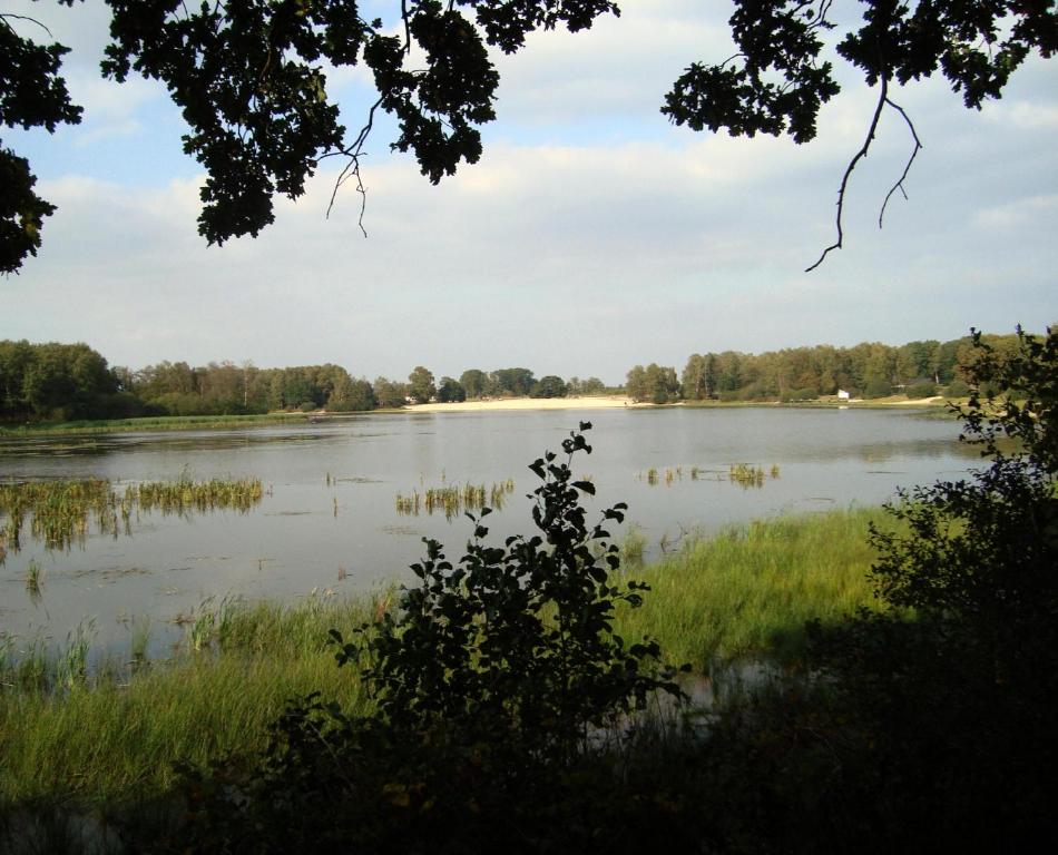 Příroda nedaleko apartmánu