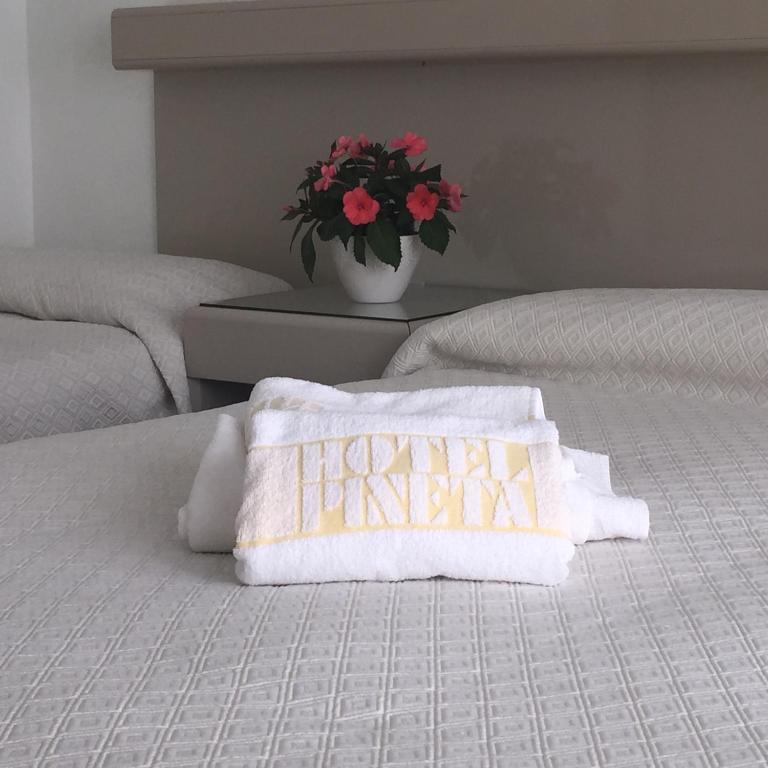 Postel nebo postele na pokoji v ubytování Hotel Pineta