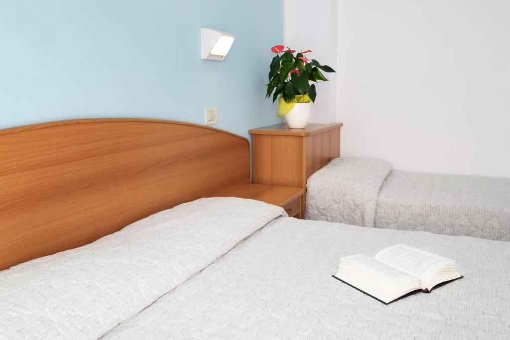 Postel nebo postele na pokoji v ubytování Hotel Emilia