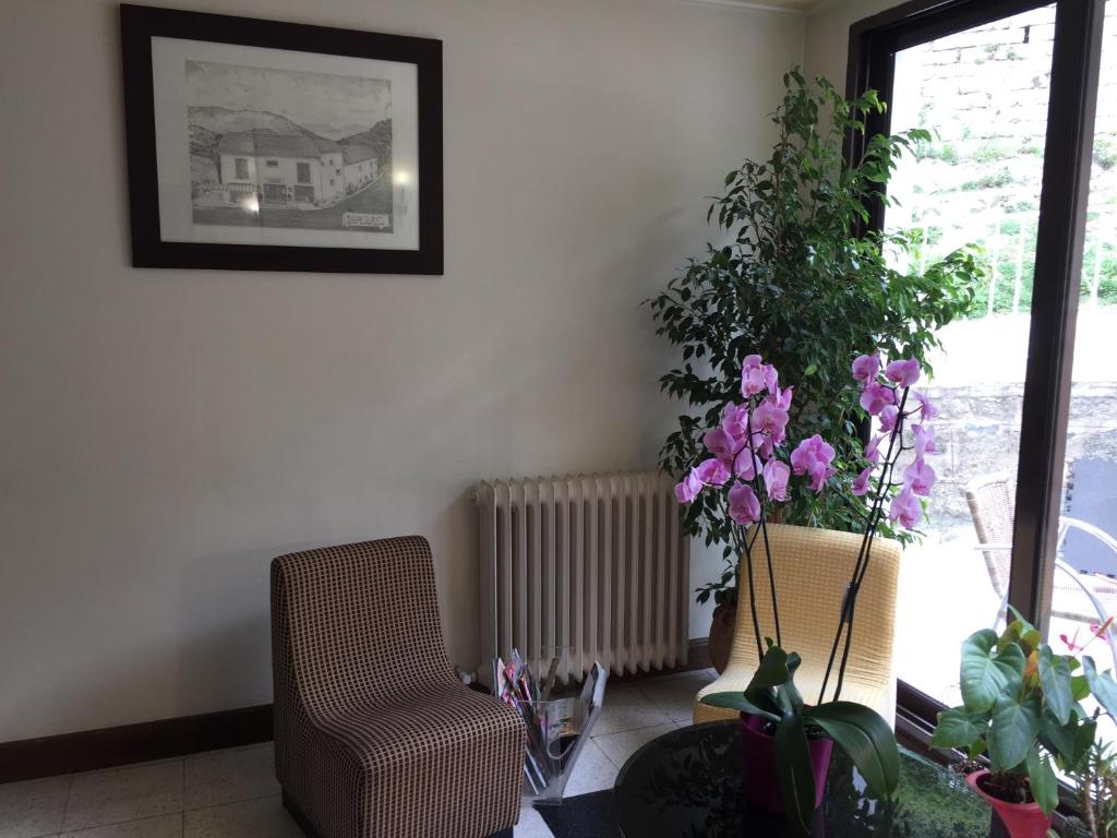 Zicavo的住宿－Hotel du Tourisme，客厅配有椅子和一些植物