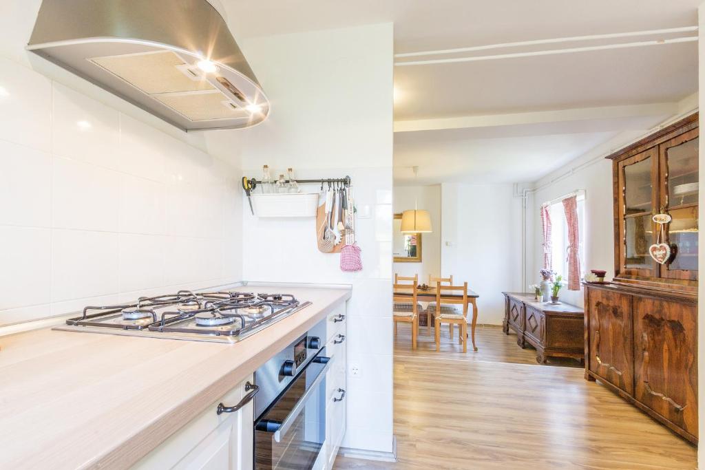 Kuchyň nebo kuchyňský kout v ubytování Apartments Oskar