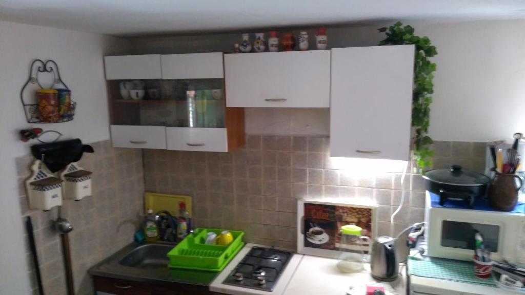 Kuchyňa alebo kuchynka v ubytovaní Chata u sovicky Malino Brdo