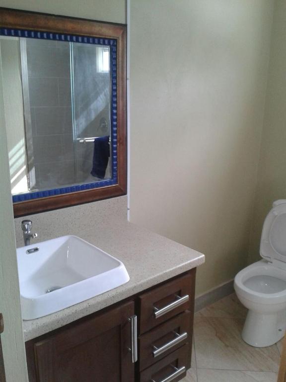 a bathroom with a sink and a toilet at Believe Caribbean Apartment in Bridgetown