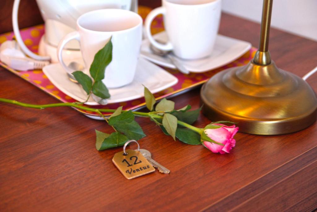 Dom Wczasowy Ventus - 1