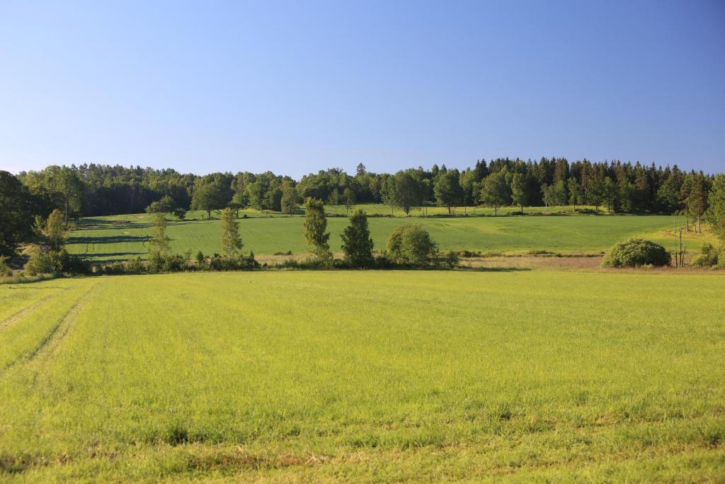 Příroda nedaleko bed and breakfast