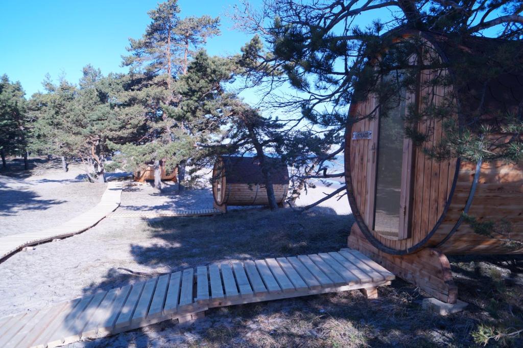 Příroda nedaleko kempu