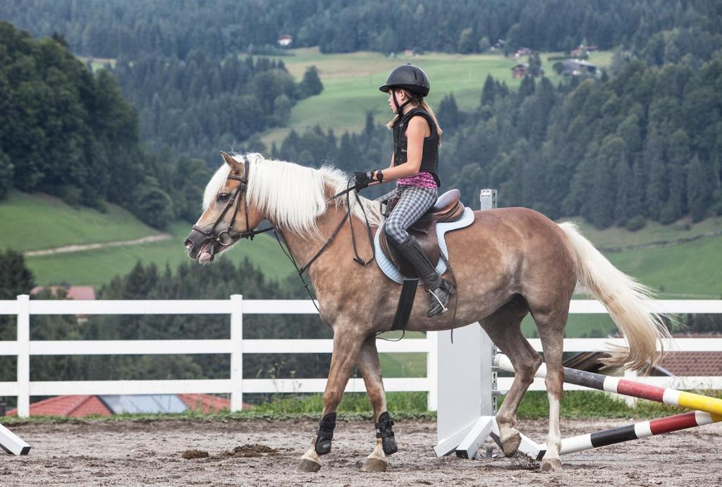 Hosté ubytování Hotel & Alpin Lodge Der Wastlhof