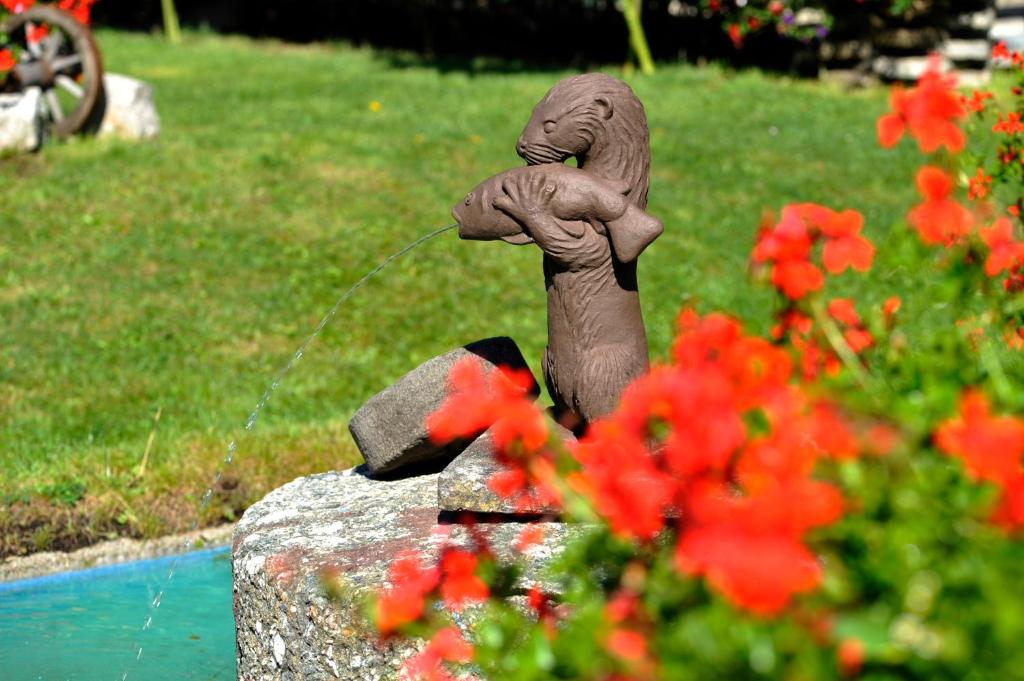 Zahrada ubytování Haus Maria
