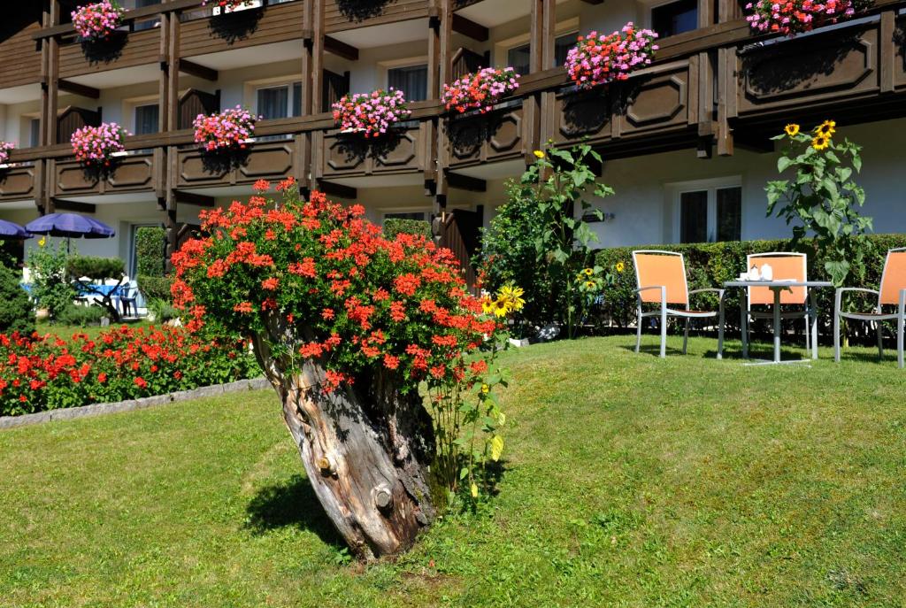 Zahrada ubytování Haus Maria