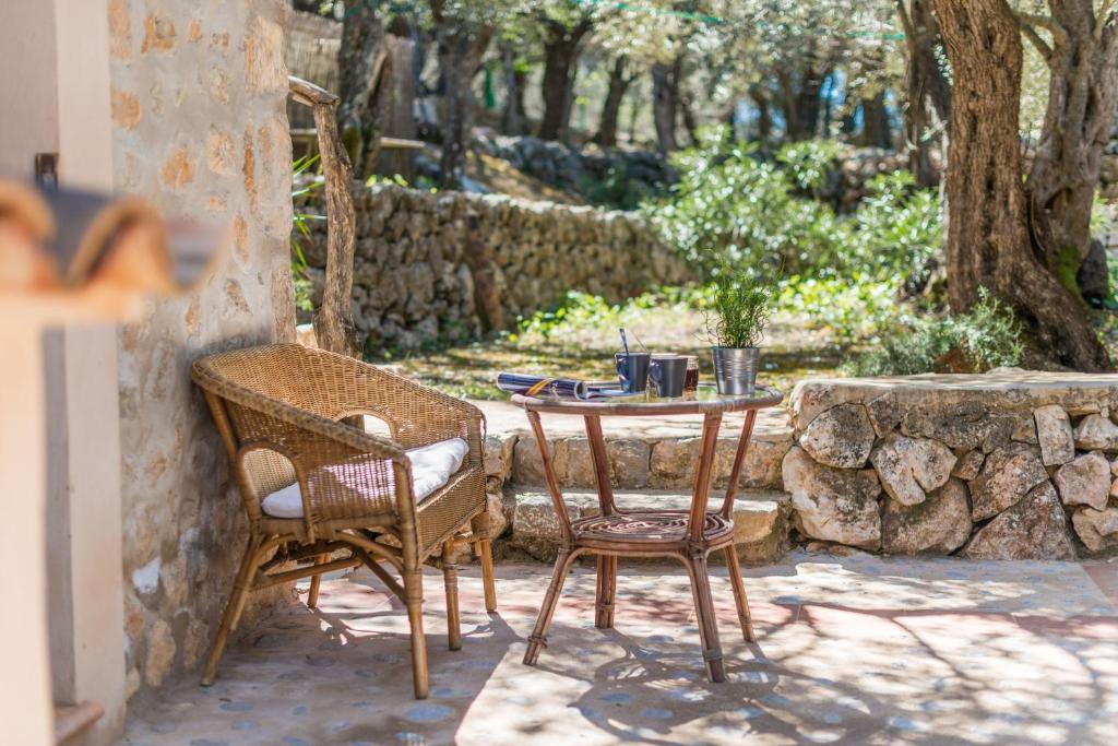 A garden outside Can Mateu
