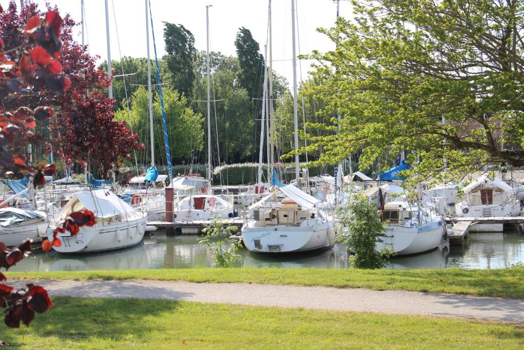 a group of boats docked in a marina at Le grenier a sel in Marennes