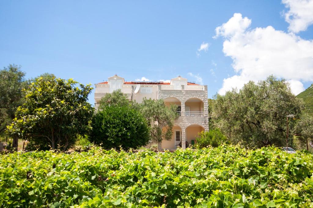 a house in the middle of a field of vines at Apartments Mili in Ston