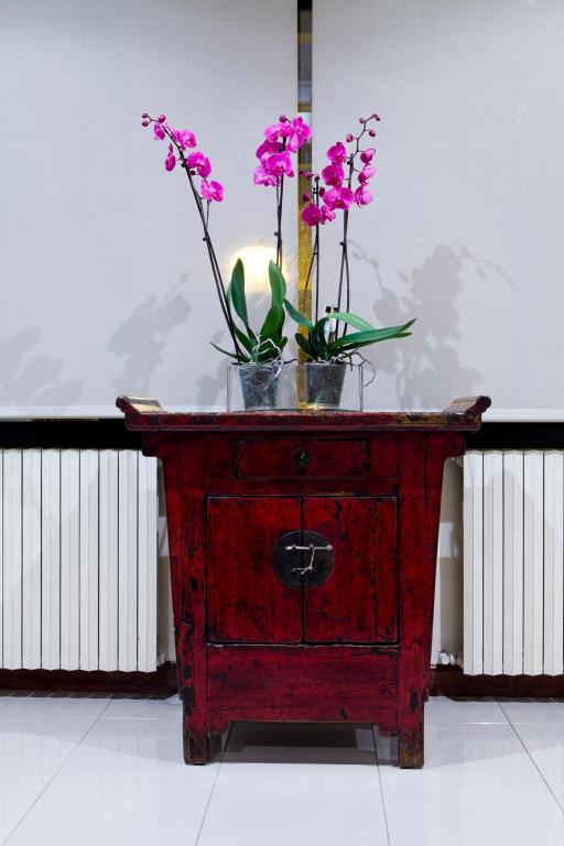 Fotografie z fotogalerie ubytování Hotel Ibiltze v destinaci Lasarte