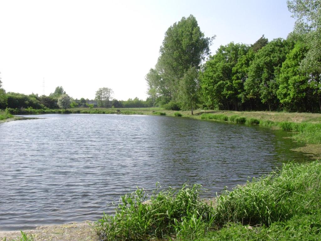 Příroda nedaleko kempu