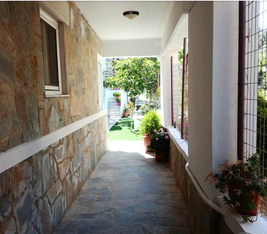 A garden outside Maria's Apartments