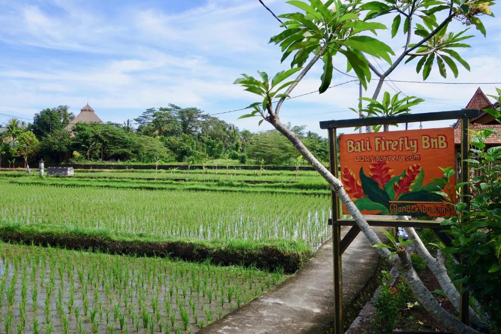 Zahrada ubytování Bali Firefly BnB