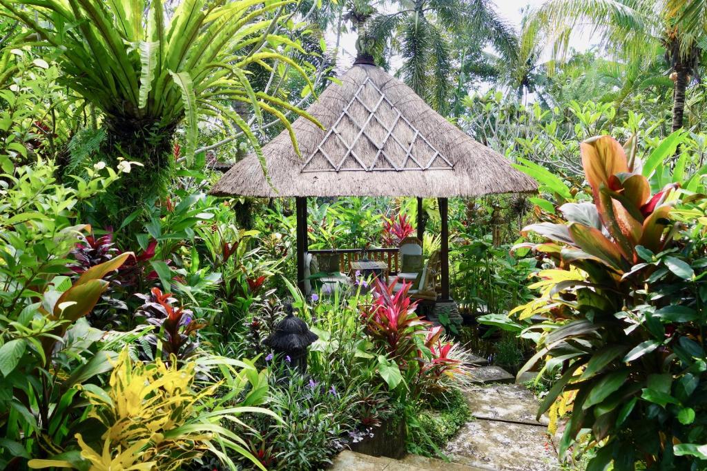 Zahrada ubytování Bali Firefly BnB