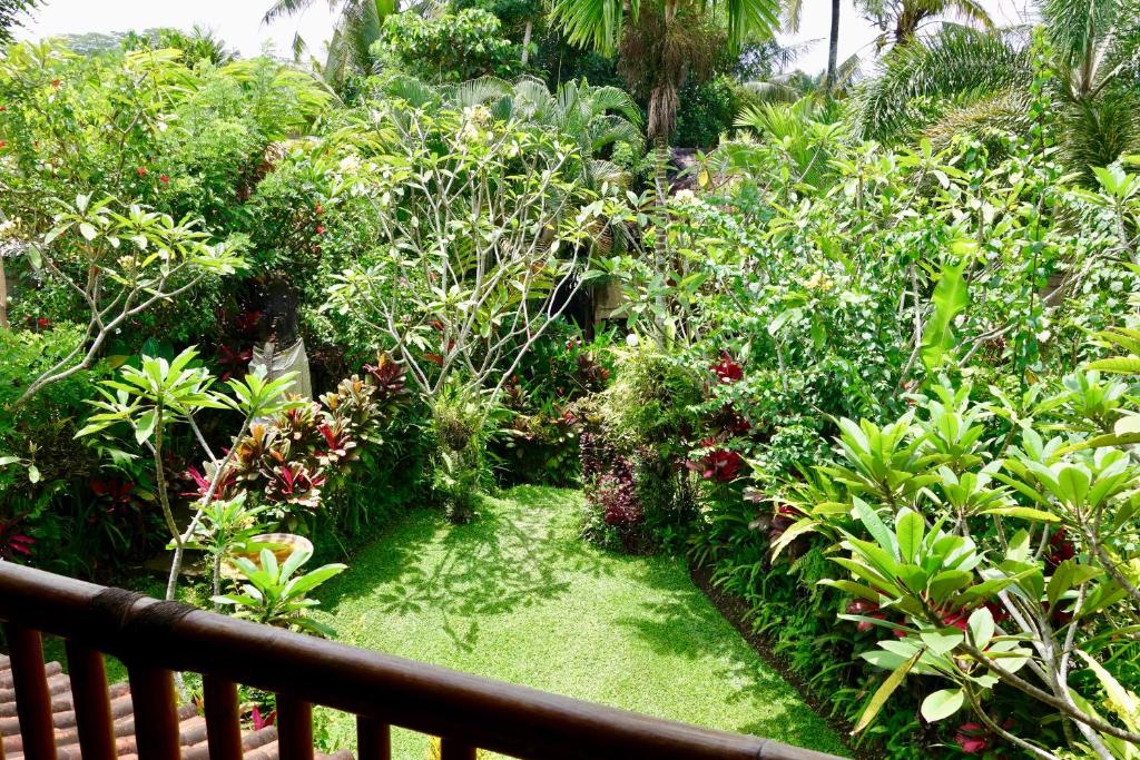 Bali Firefly BnB - 5