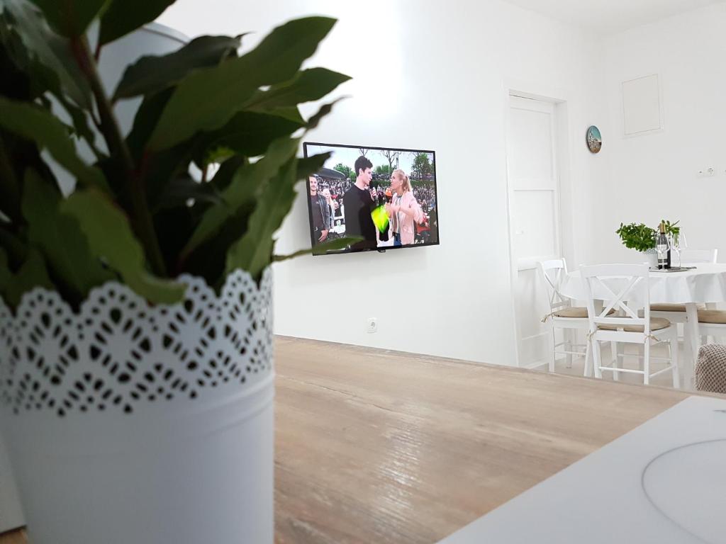TV a/nebo společenská místnost v ubytování Apartmani Luka & Iva