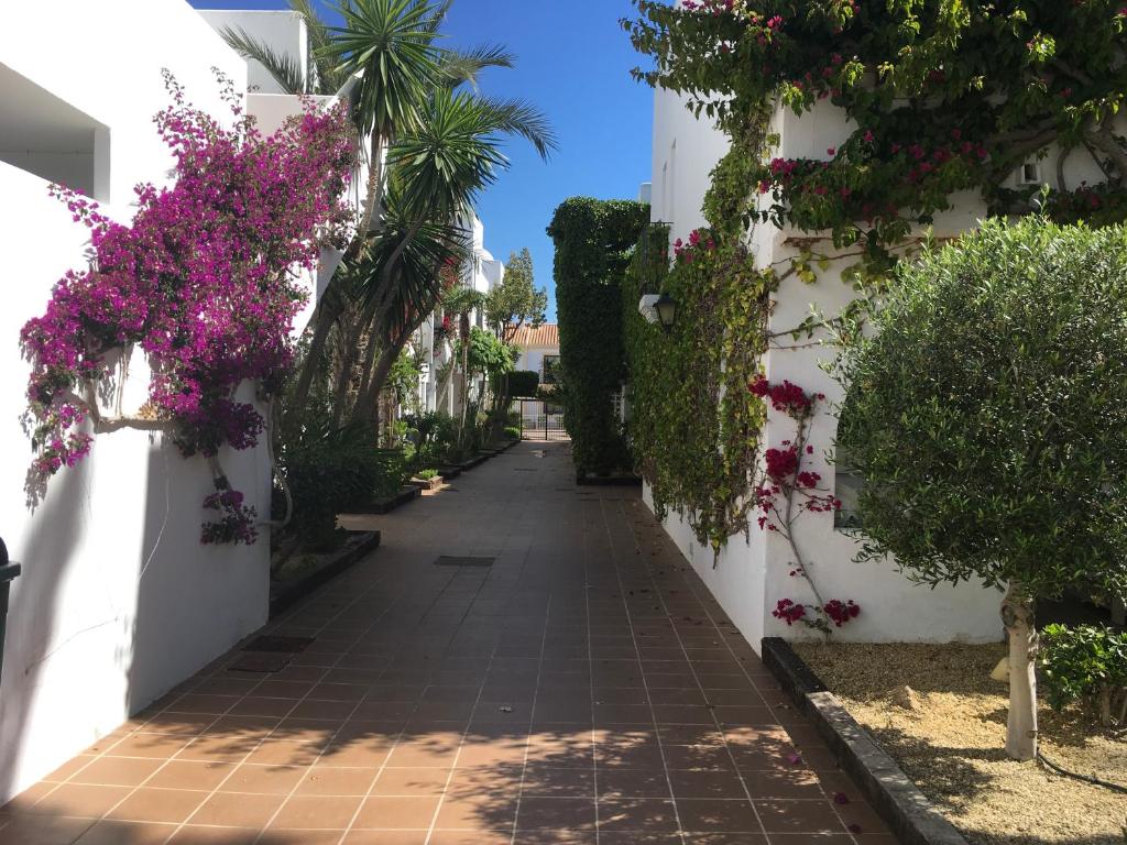 Jardín al aire libre en Apartamentos Torrelaguna