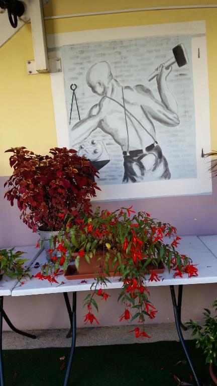 Zahrada ubytování APARTMAJI STARI KOVAČ