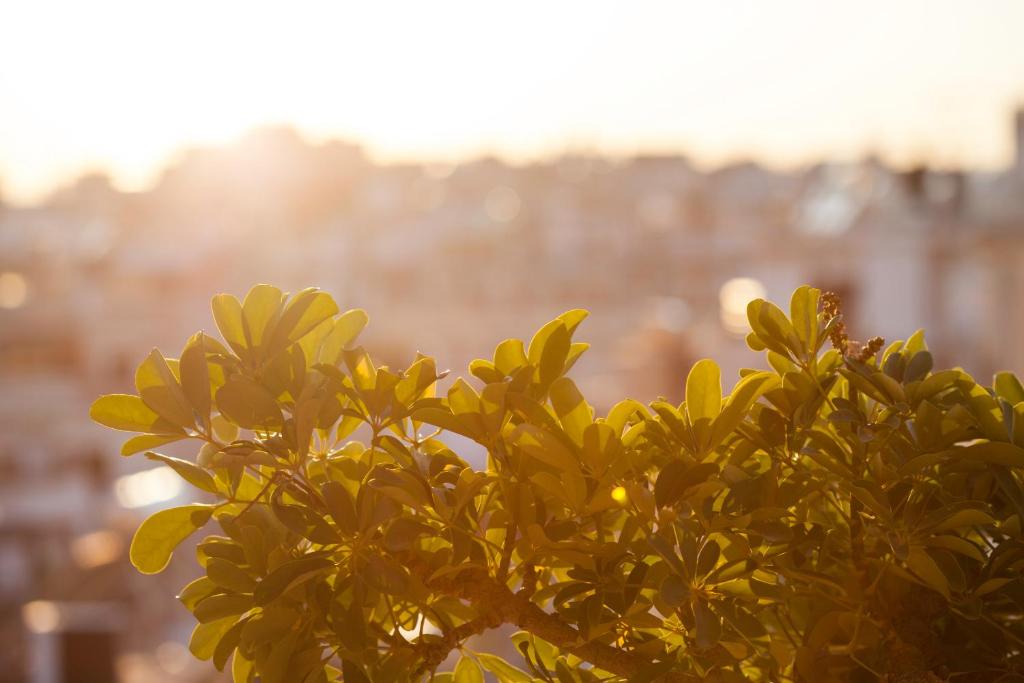 Lilia Hotel - Resim 38