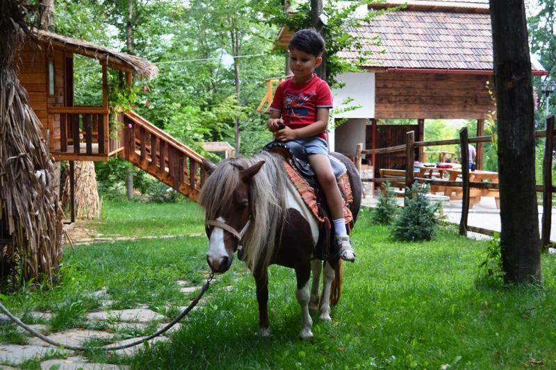 Un joven montando un caballo en la hierba en Pensiunea Stejarul, en Mierea