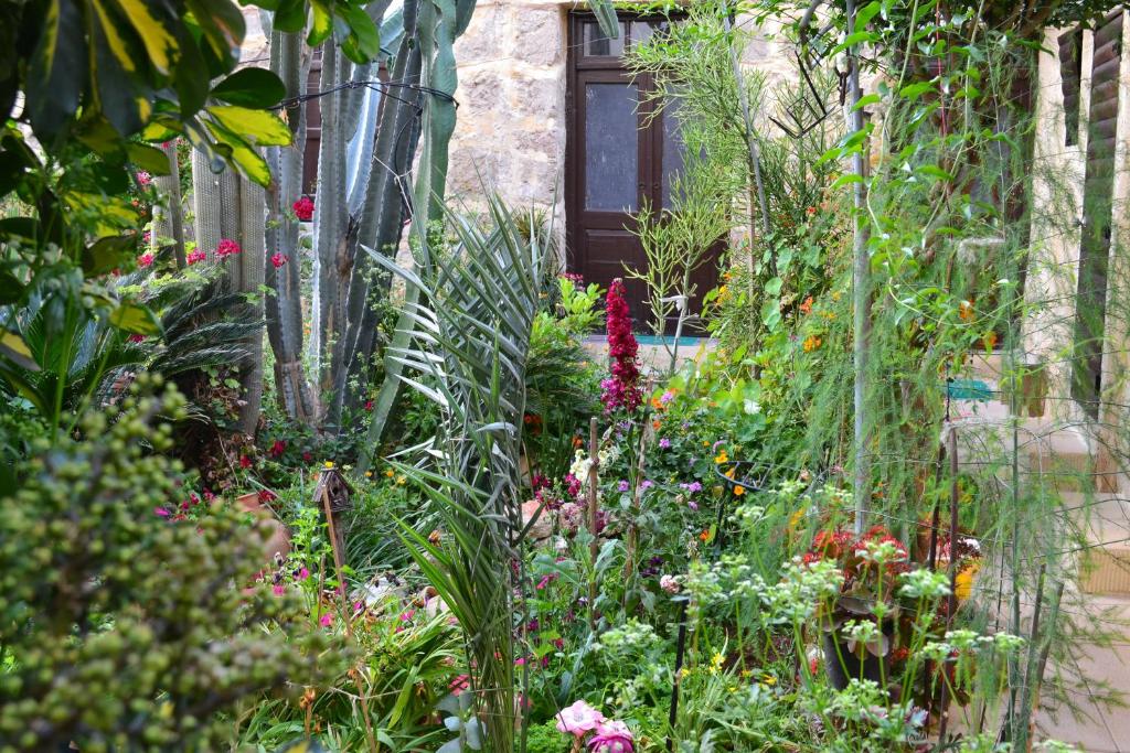 Zahrada ubytování Mystery Garden Guest House