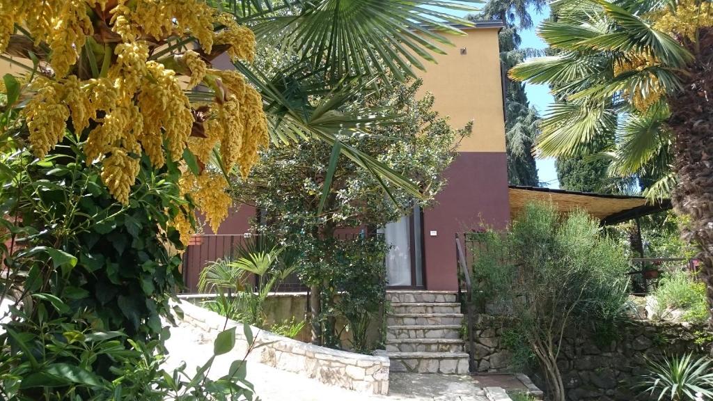 a house with a palm tree and stairs at Guest house Korado in Rovinj