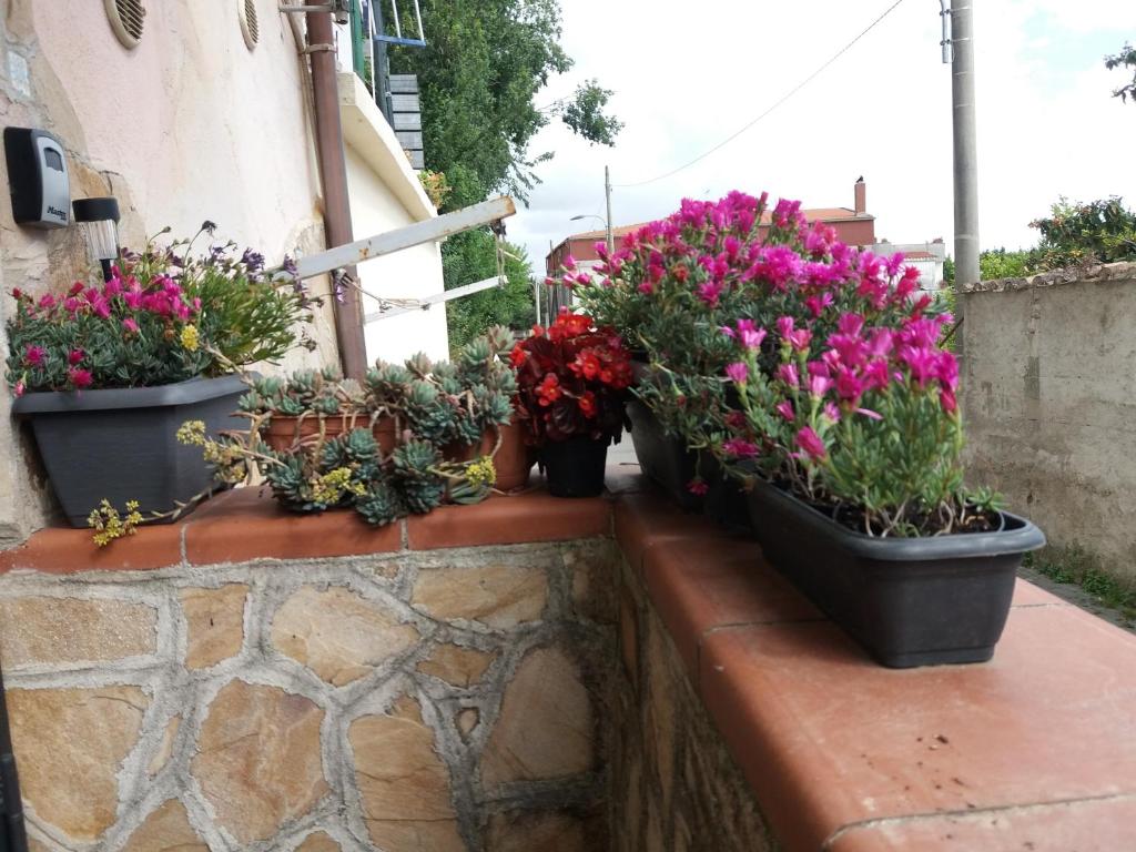 La Mia Casetta - Housity