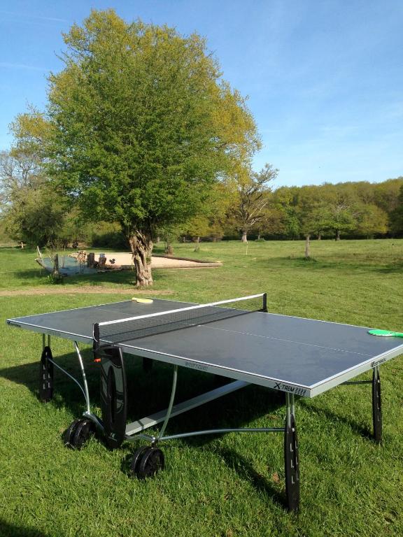 Stolní tenis v ubytování Le champ Bagnolet nebo okolí