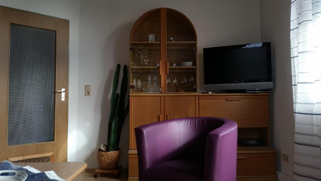 sala de estar con silla púrpura y TV en Ferienwohnung Rummel Selb, en Selb