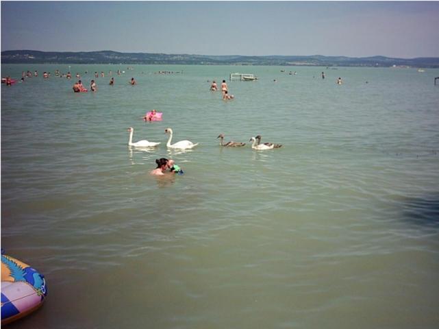 Příroda nedaleko aparthotelu