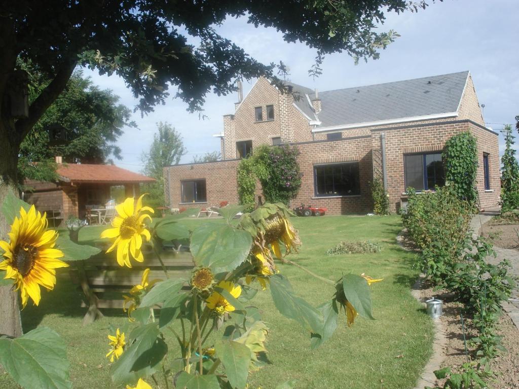 Zahrada ubytování B&B Mussenzele