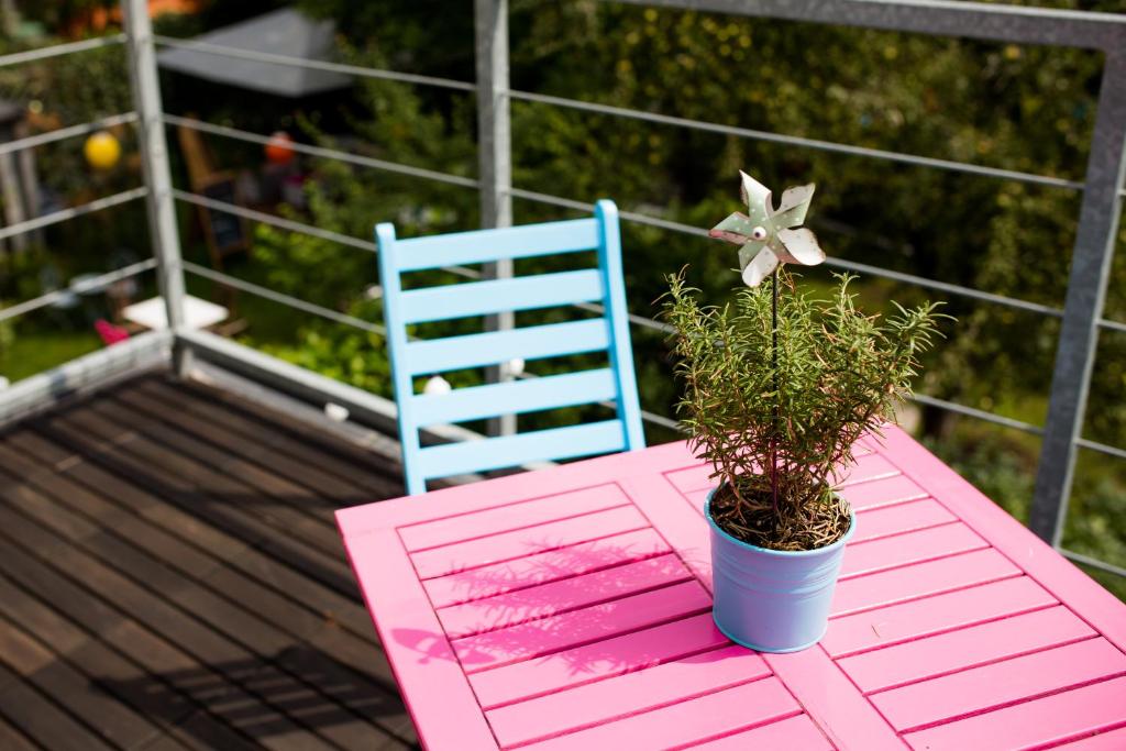 Republika Słoneczna - 17