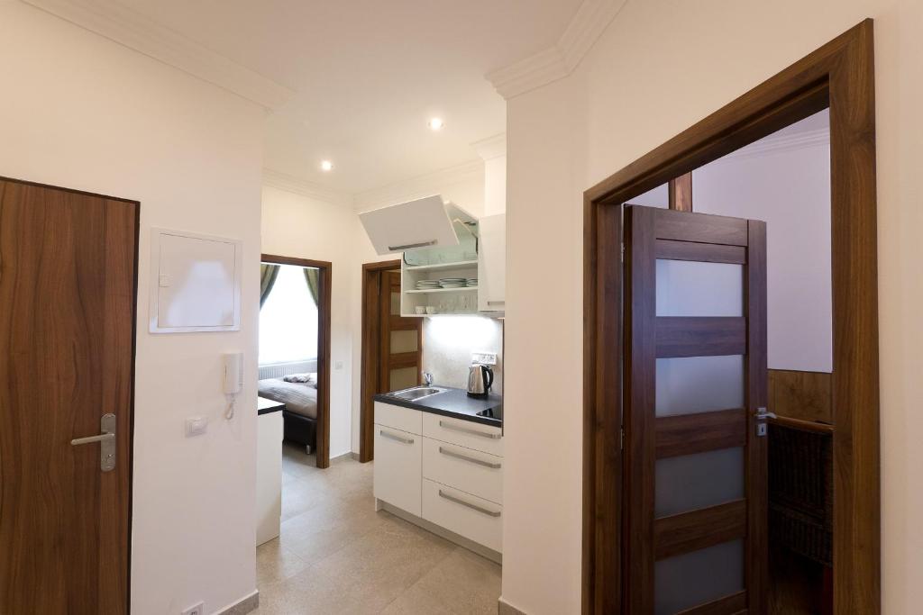 Kuchyň nebo kuchyňský kout v ubytování Apartment Karla Capka Street