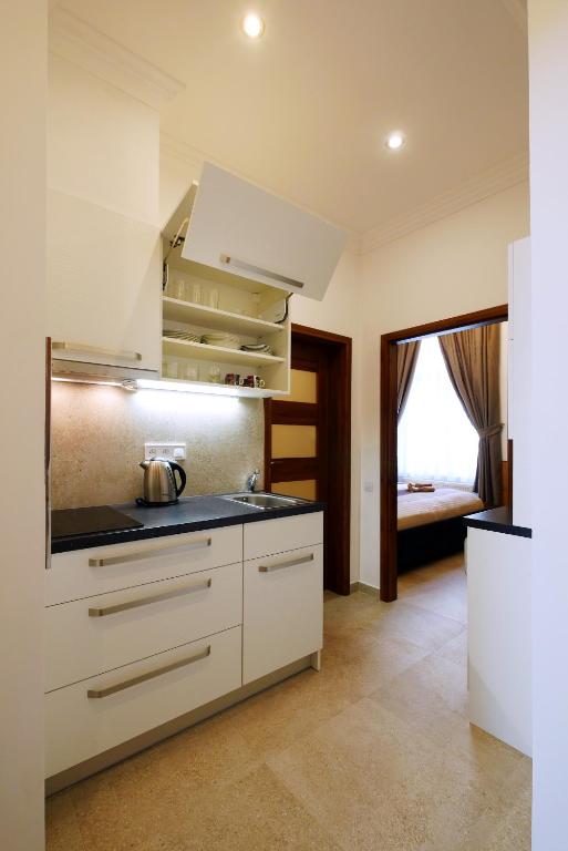 Kuchyň nebo kuchyňský kout v ubytování Apartment Karla Capka Street