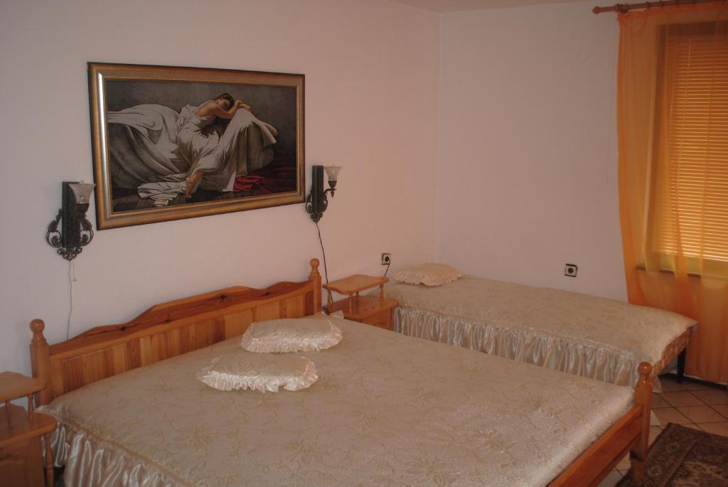 Postel nebo postele na pokoji v ubytování Vila Roza