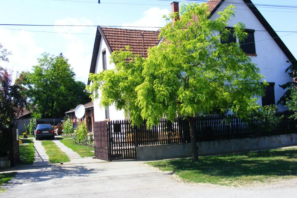 アバッザロークにあるÉva Vendégházの塀付きの家の前の木