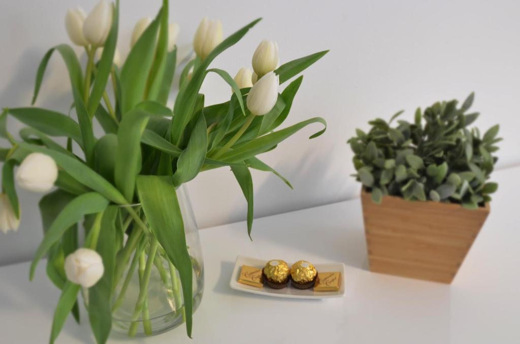 Munich Aparthotel - Two-Bedroom Apartment