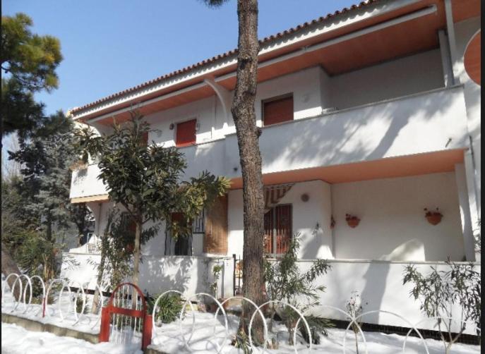 Una casa blanca con un árbol delante. en BILOCALE Villa Lara en Cesenatico