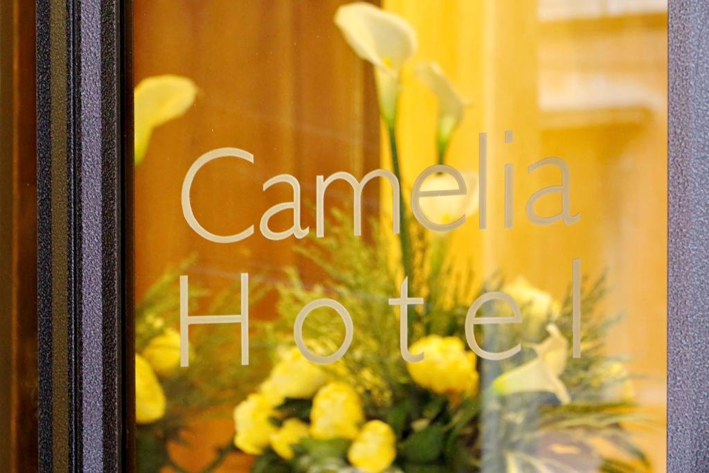 Certifikát, hodnocení, plakát nebo jiný dokument vystavený v ubytování Hotel Camelia