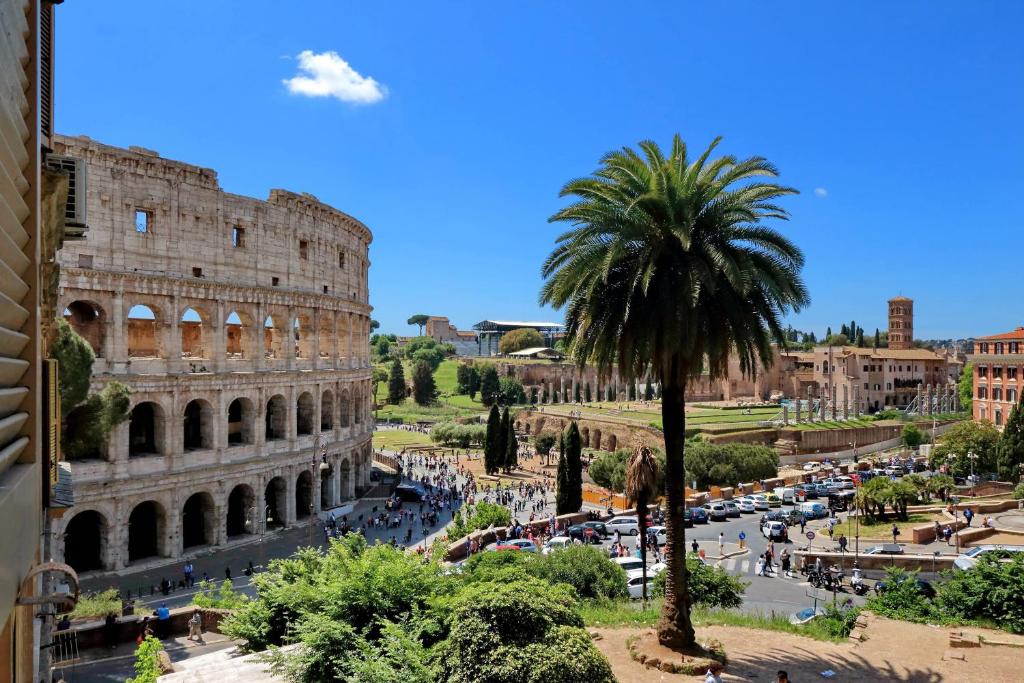 een palmboom voor het Colosseum bij Romance al Colosseo in Rome